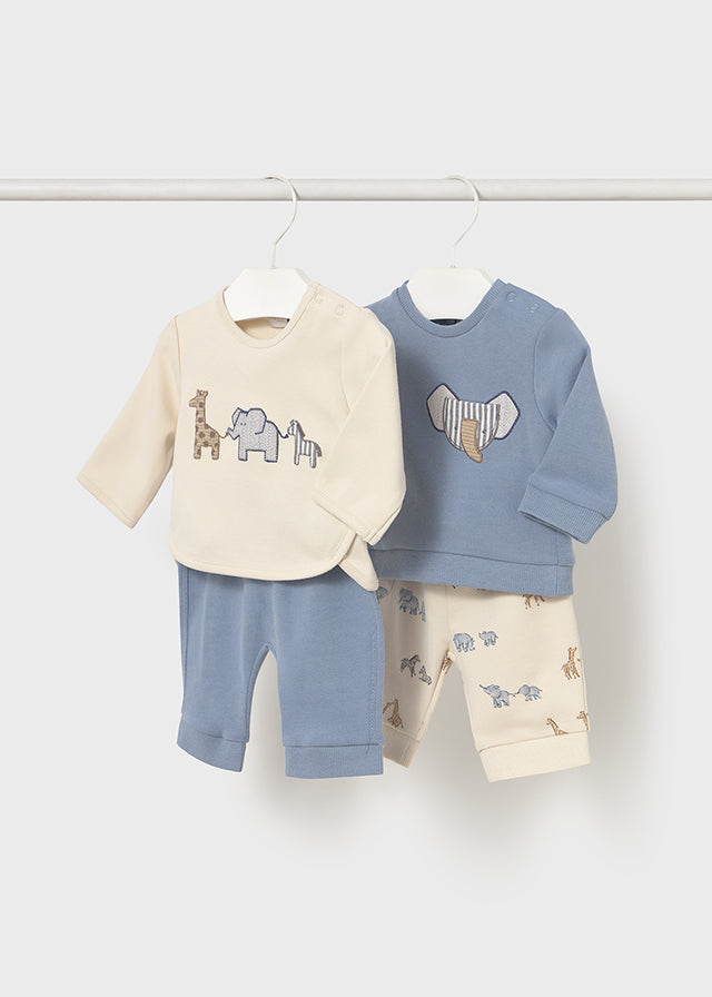 Conjunto Elefante Celeste
