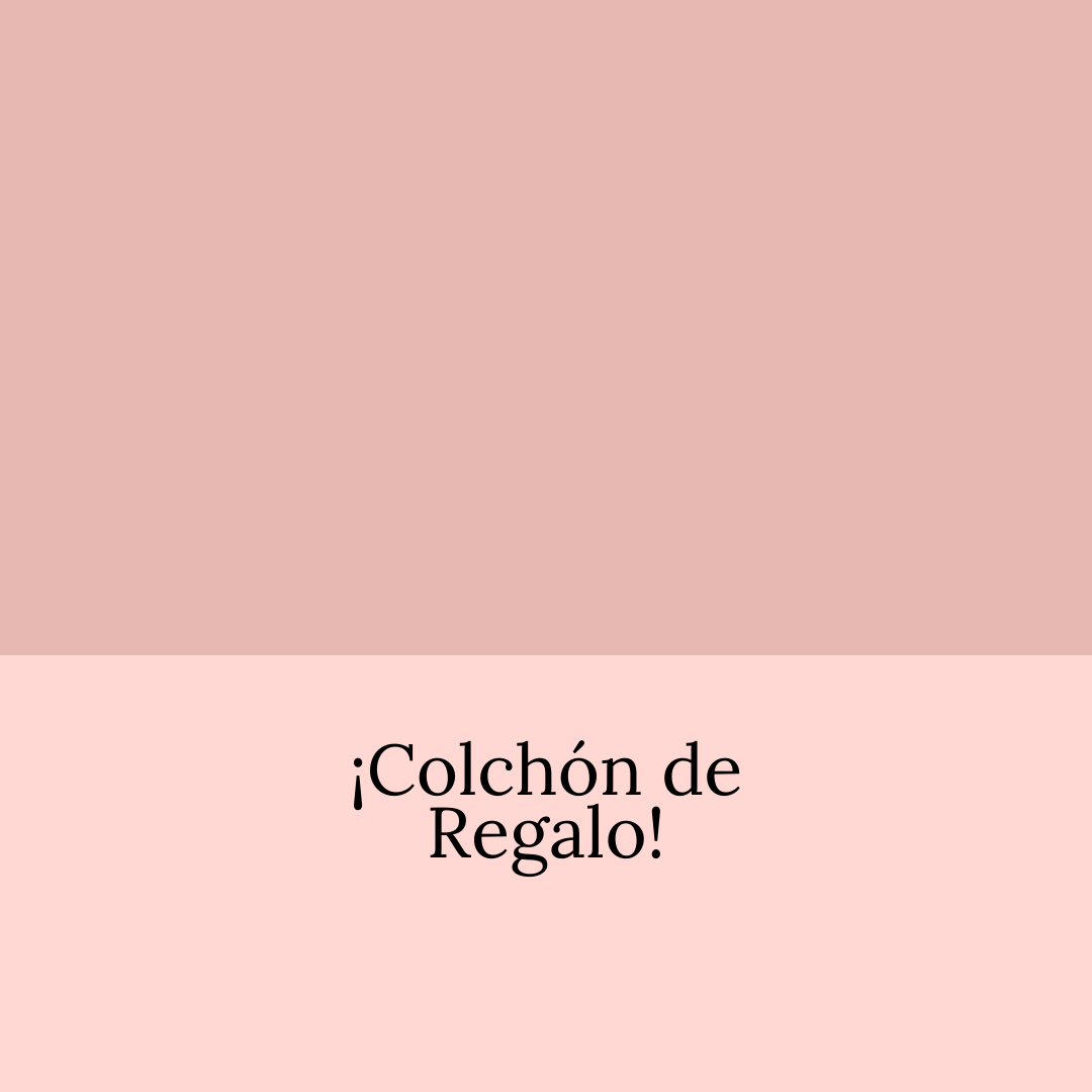 1_6e6acc51-5a61-4a7a-b750-1779b8f77819.png