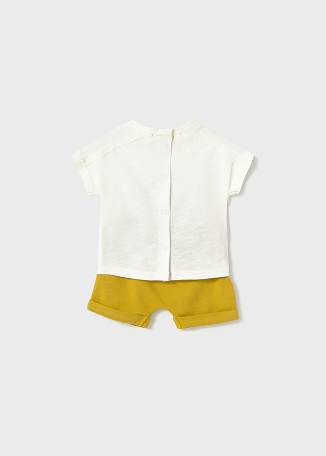 Conjunto Abejita