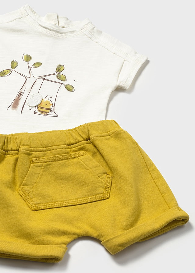 Conjunto Abejita