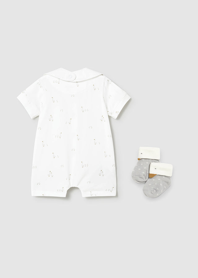 Set de bienvenida Cisne