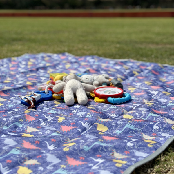 Practi Mat Dino Morado