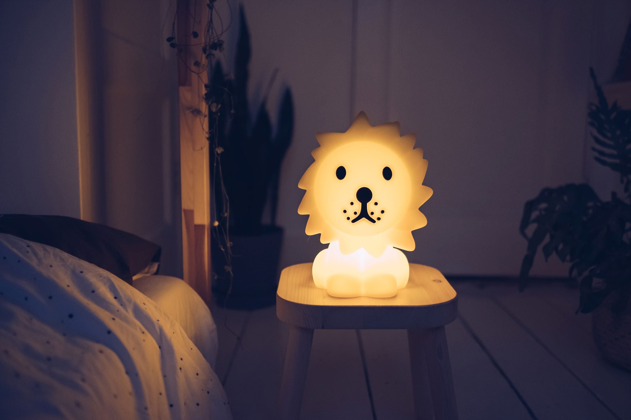 Lion First Light