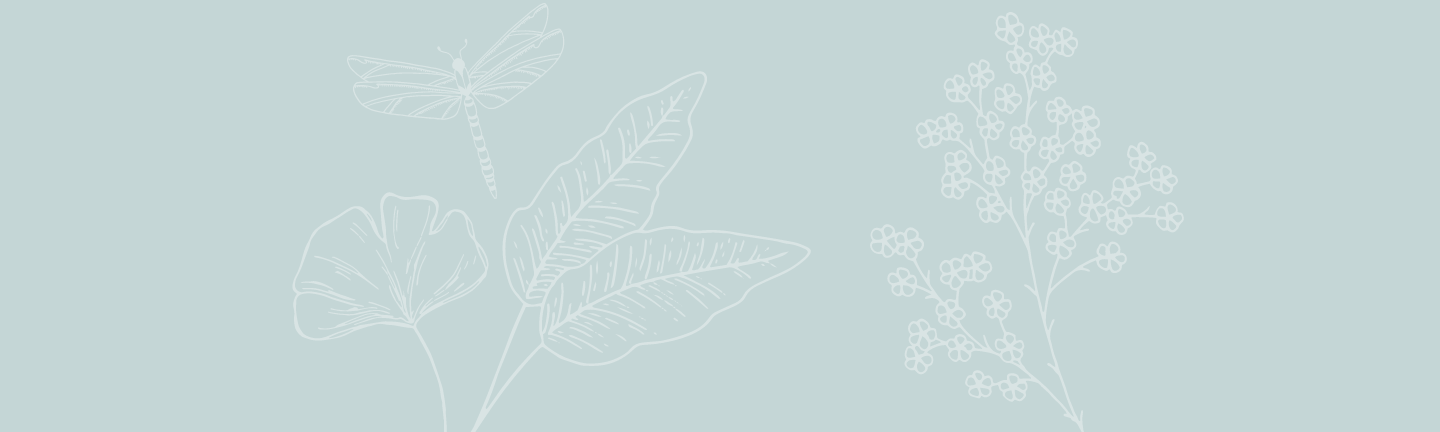 3_ad132aa4-5b9a-45db-a27f-f46cd206de6c.png