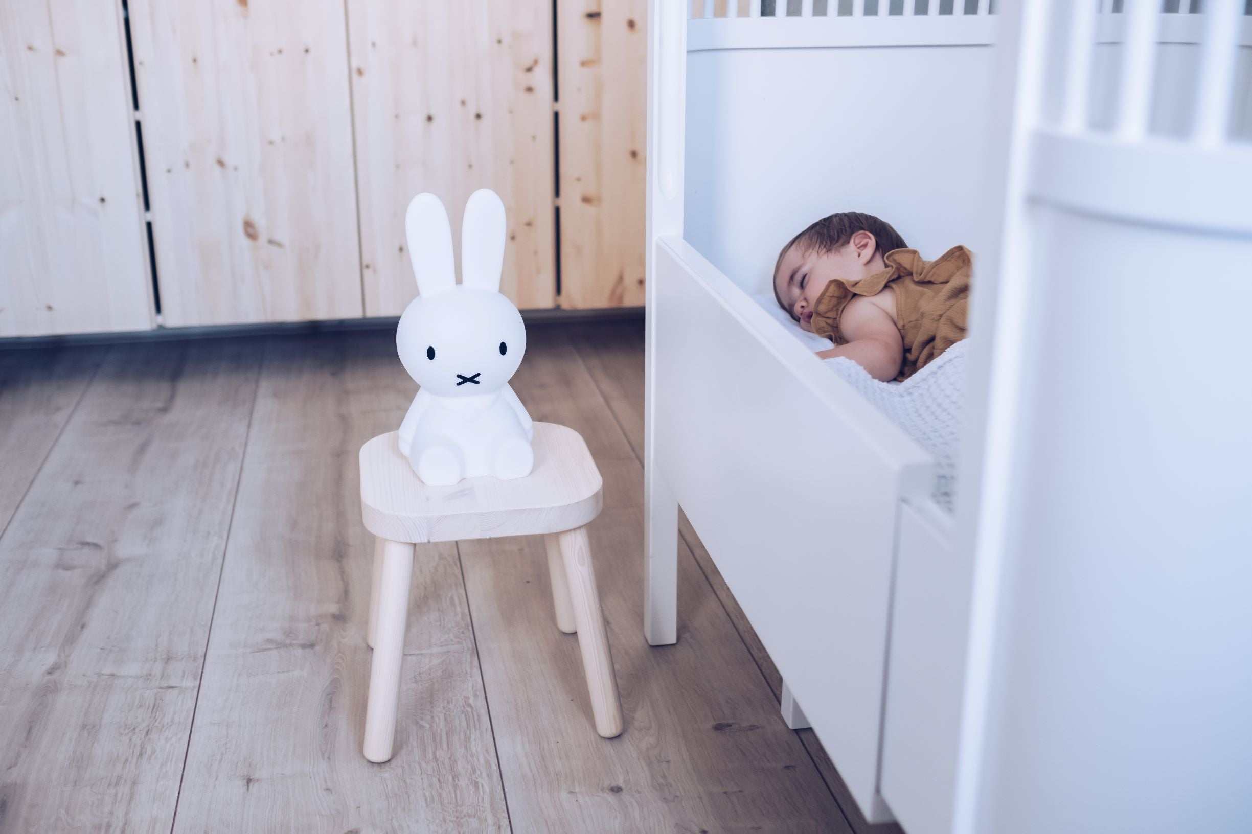 Miffy First Light