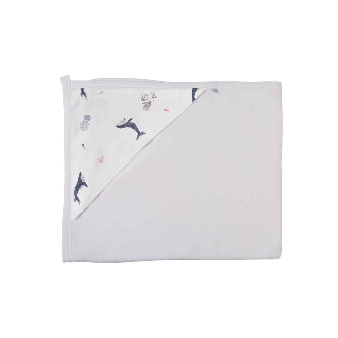 40_4e1f1685-df0e-4ced-8c8d-85dea7f155ae.png