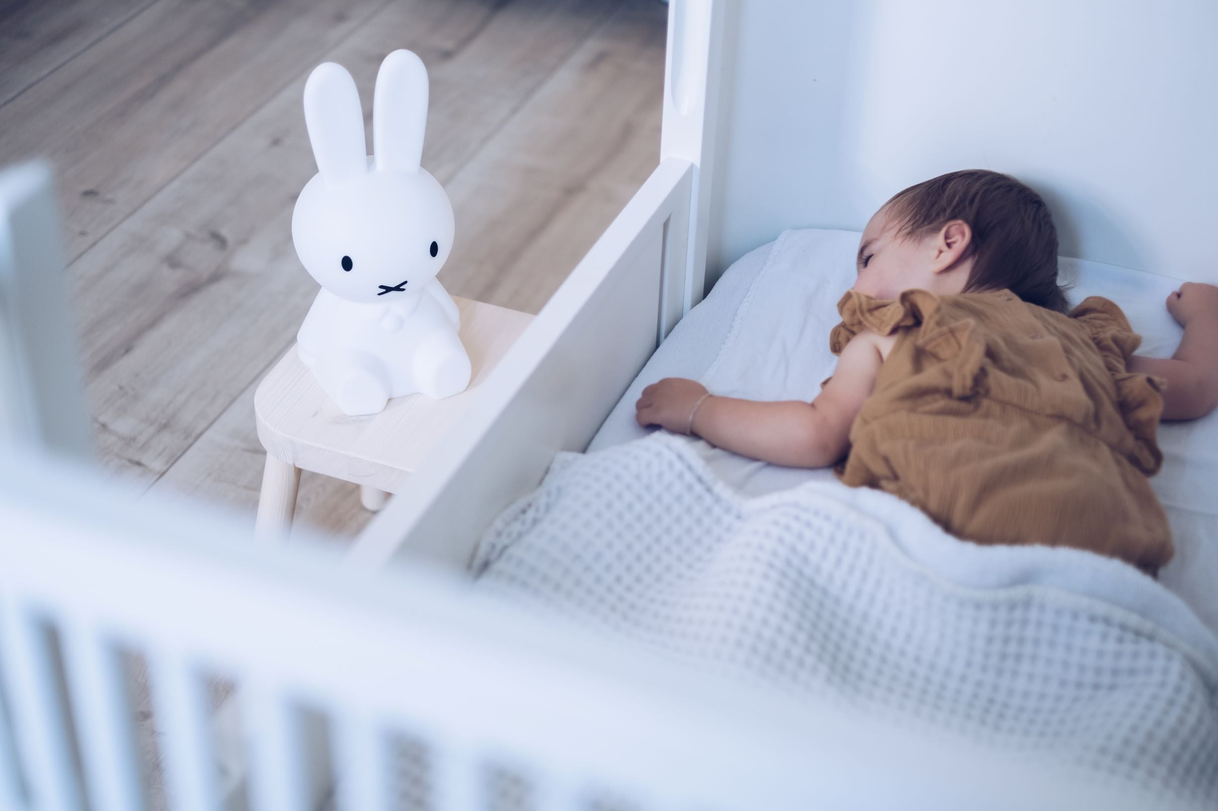 Miffy First Light