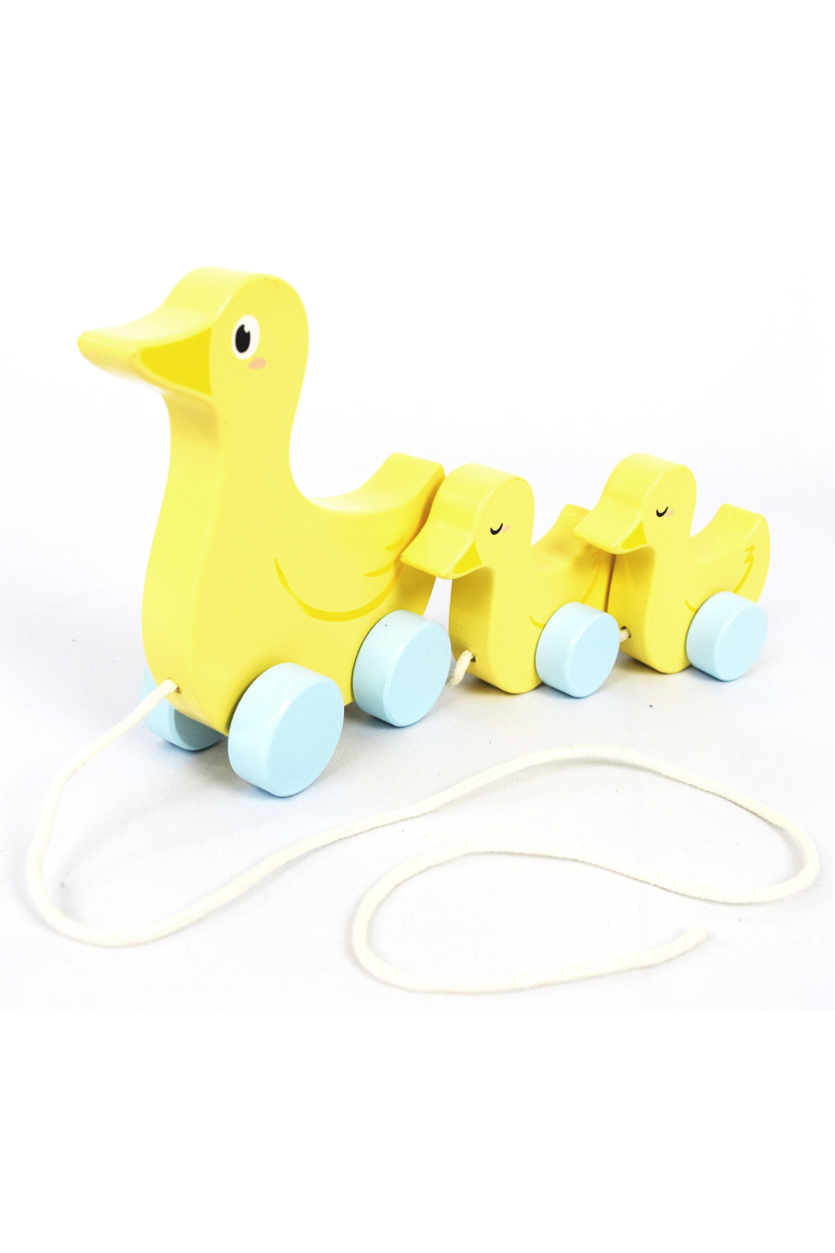 Familia de patos de arrastre