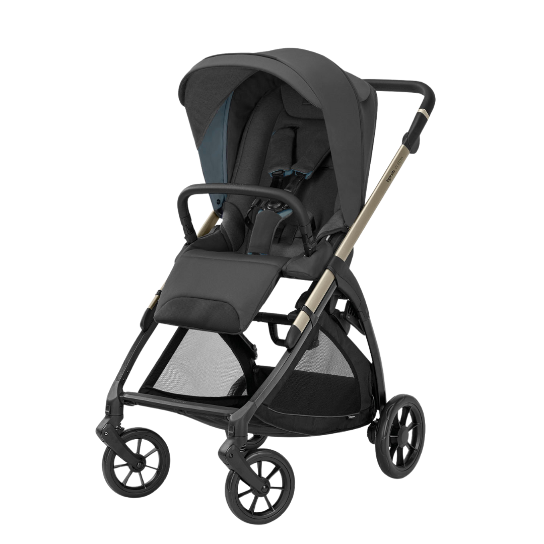 Coche de Paseo Electa - Upper Black