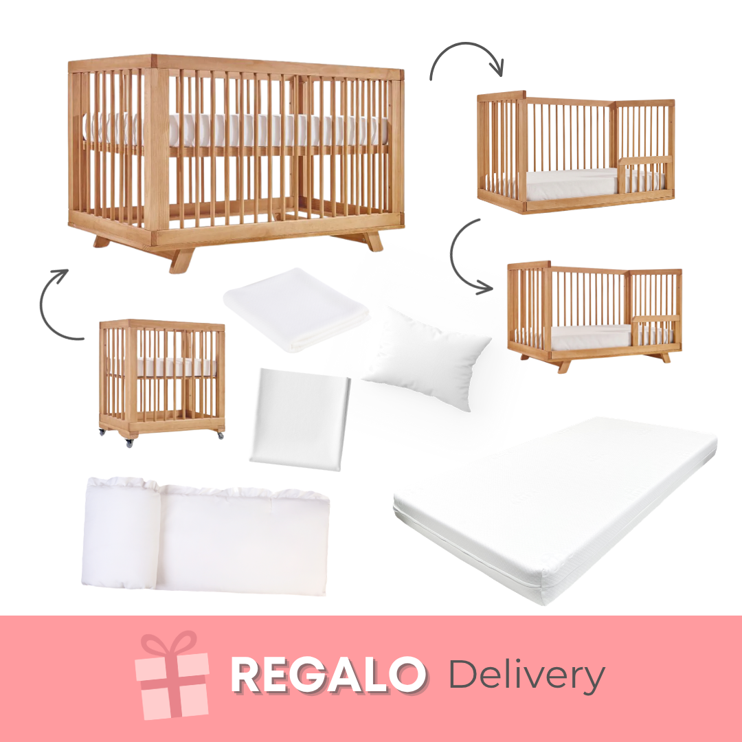 Paquete Esencial Premium Circus