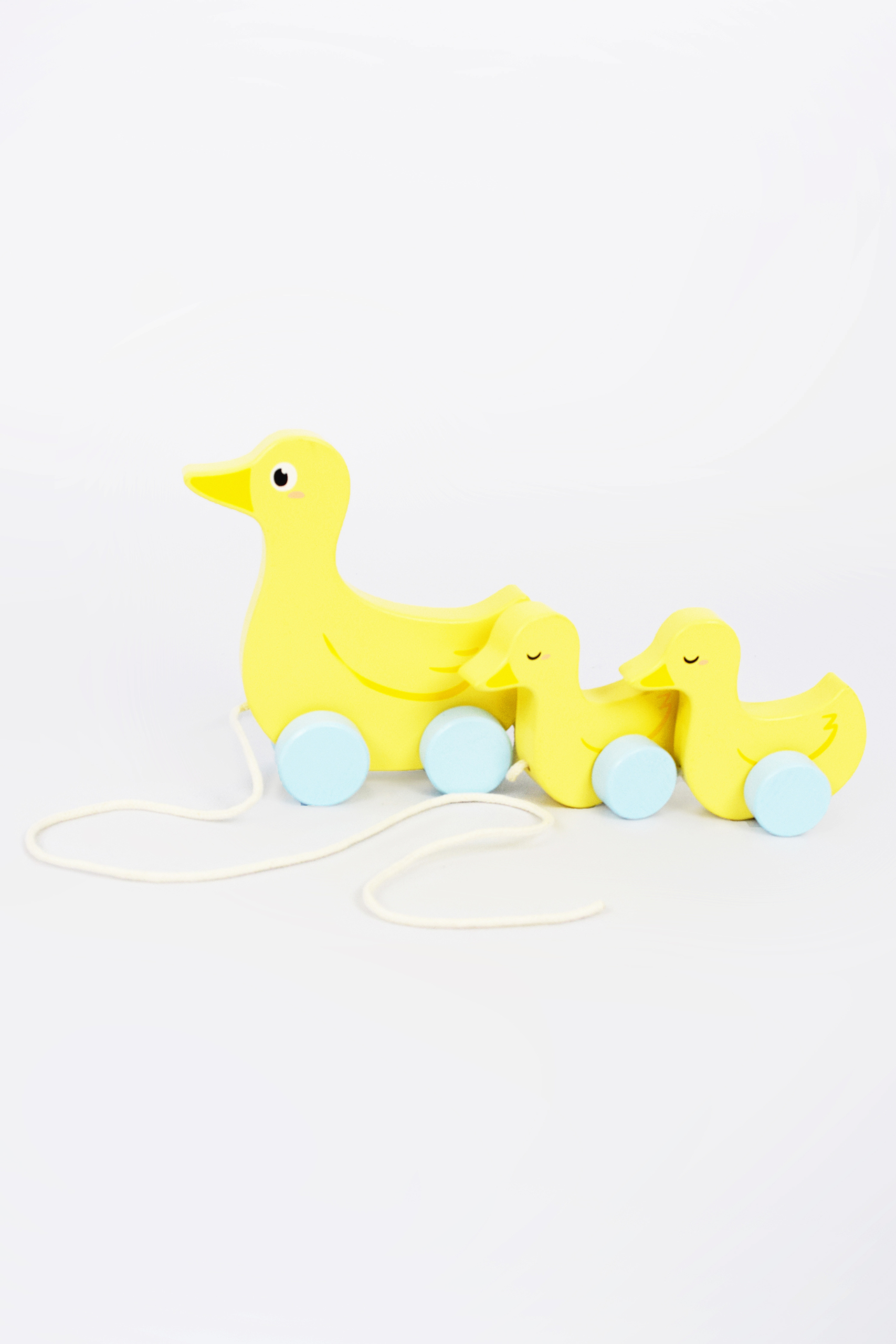 Familia de patos de arrastre
