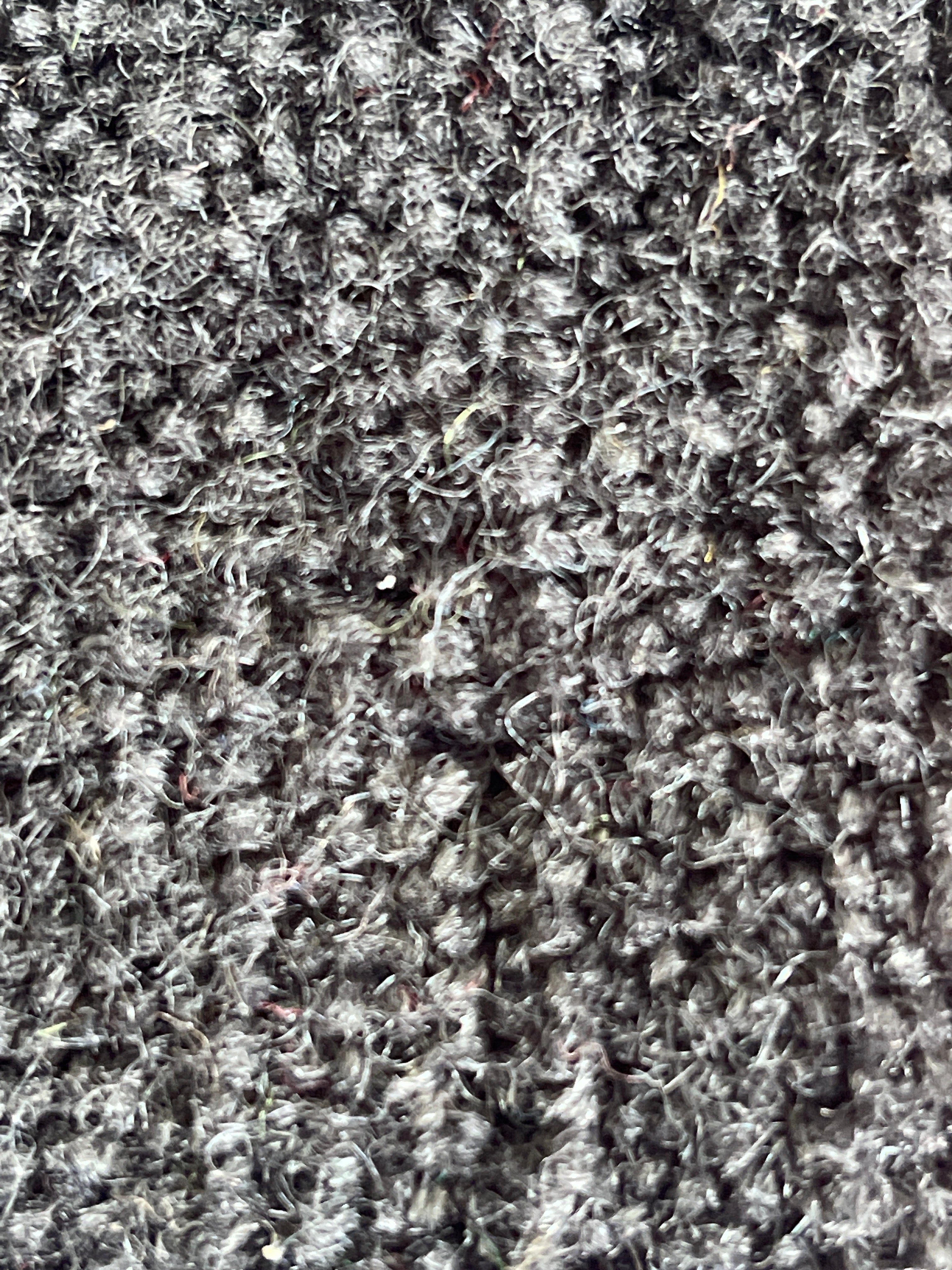 Alfombra Oso Charcoal