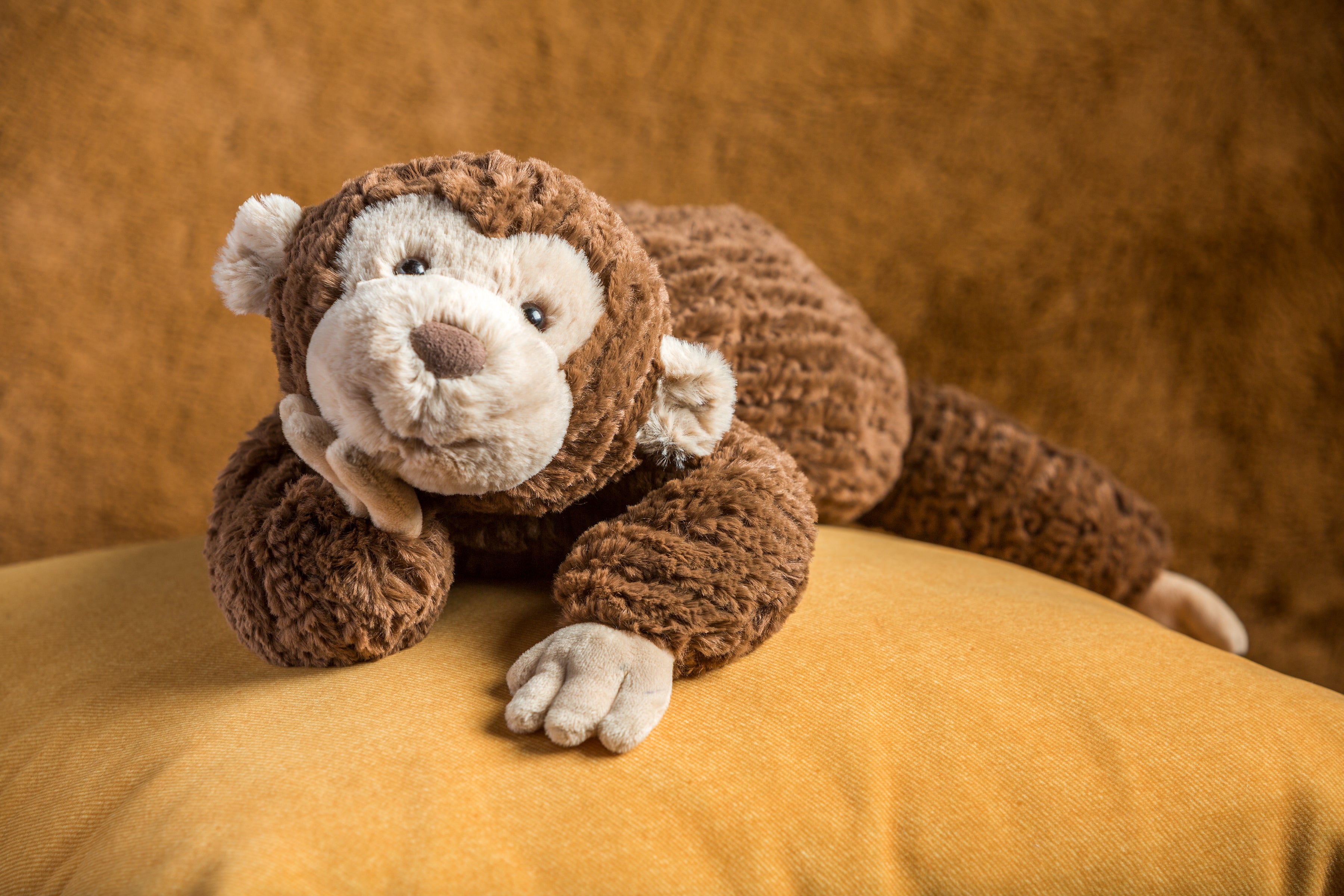 Monkey1.jpg