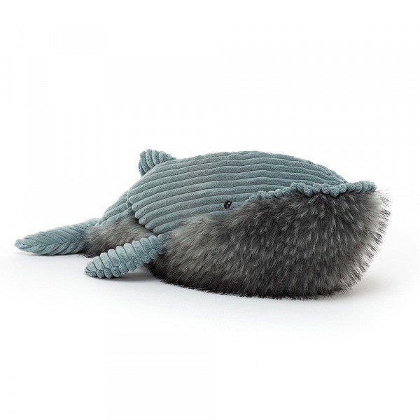 Willey Whale (50 cm)